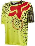 Dres FOX
